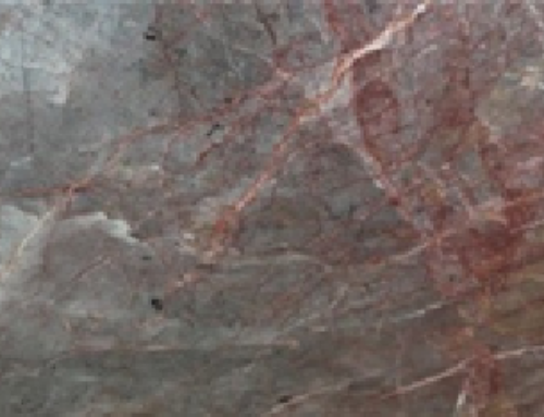 Paieez